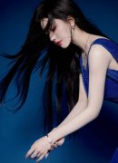 藏娇H1鹧鸪哨一是湖北枝江酒业股份无限公司被要